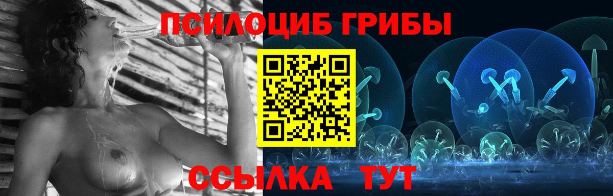 Галлюциногенные грибы Cubensis Новозыбков