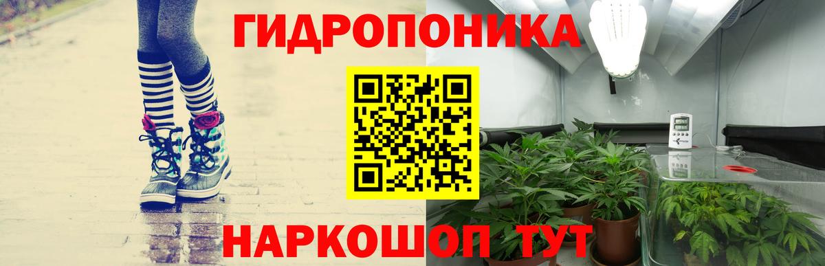 МАРИХУАНА VHQ  Вход с VPN  Каннабис ГИДРОПОН  Новозыбков 